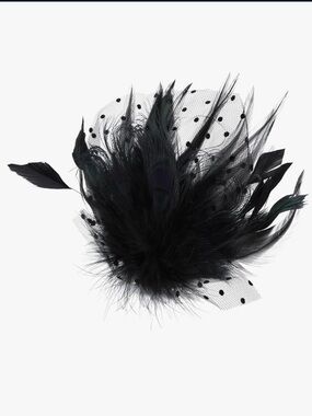 Black Feather and Veil Fascinator Hair Clip Gothic Gatsby Victorian
